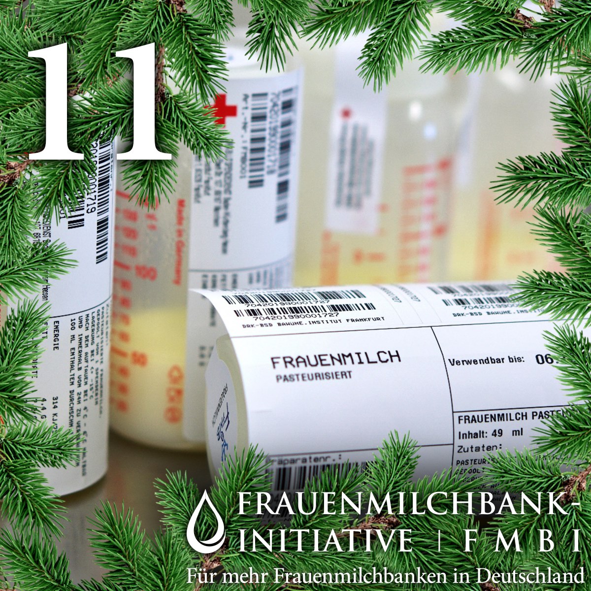 🎄... - Frauenmilchbank-Initiative e.V. - FMBI | Facebook