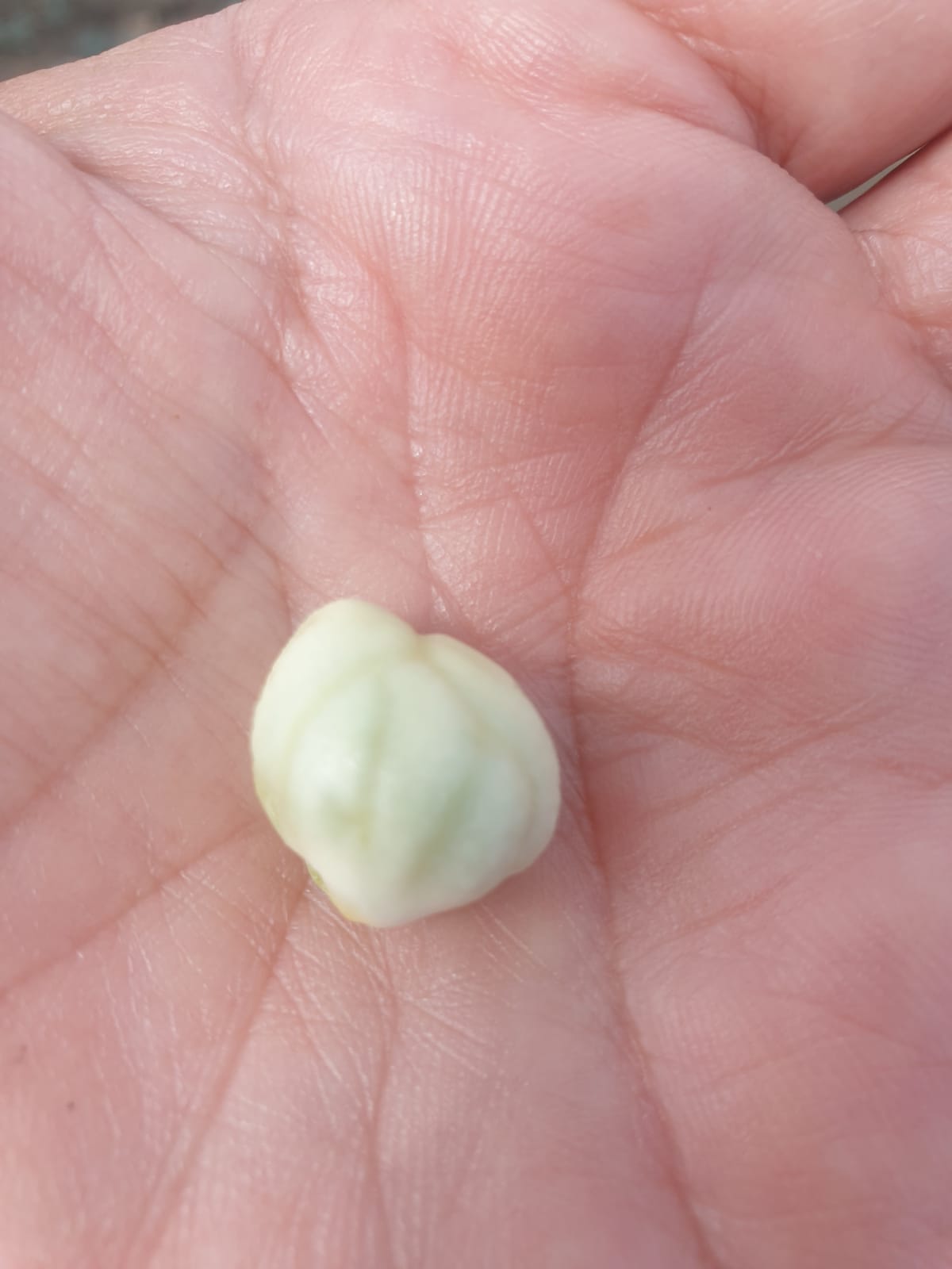 Aceite Miluma - Recuerda que para seguirnos en esta...