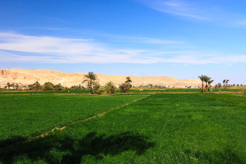 Turab