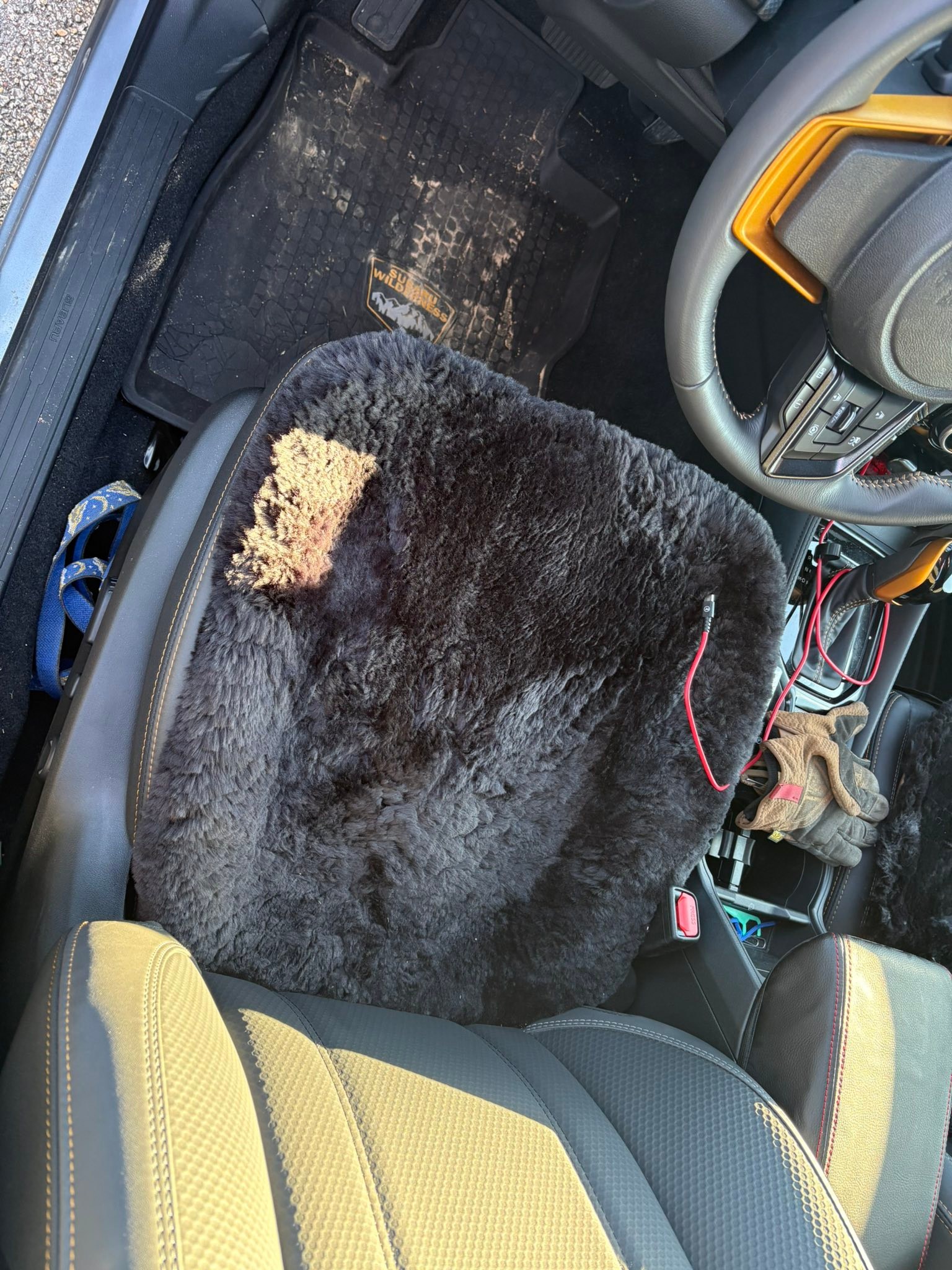 Will sheep skin seat covers protect seats?
