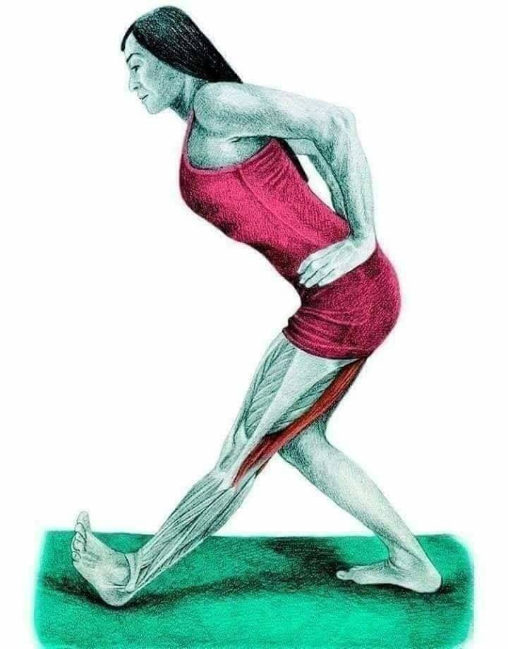 Full Stretching Exercises👌