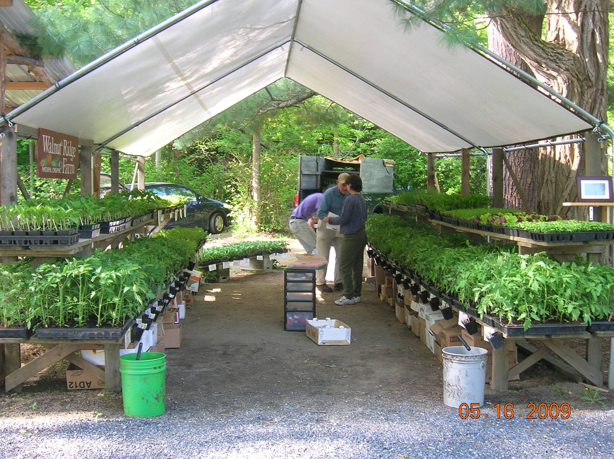 Walnut Ridge Farm | Putney VT