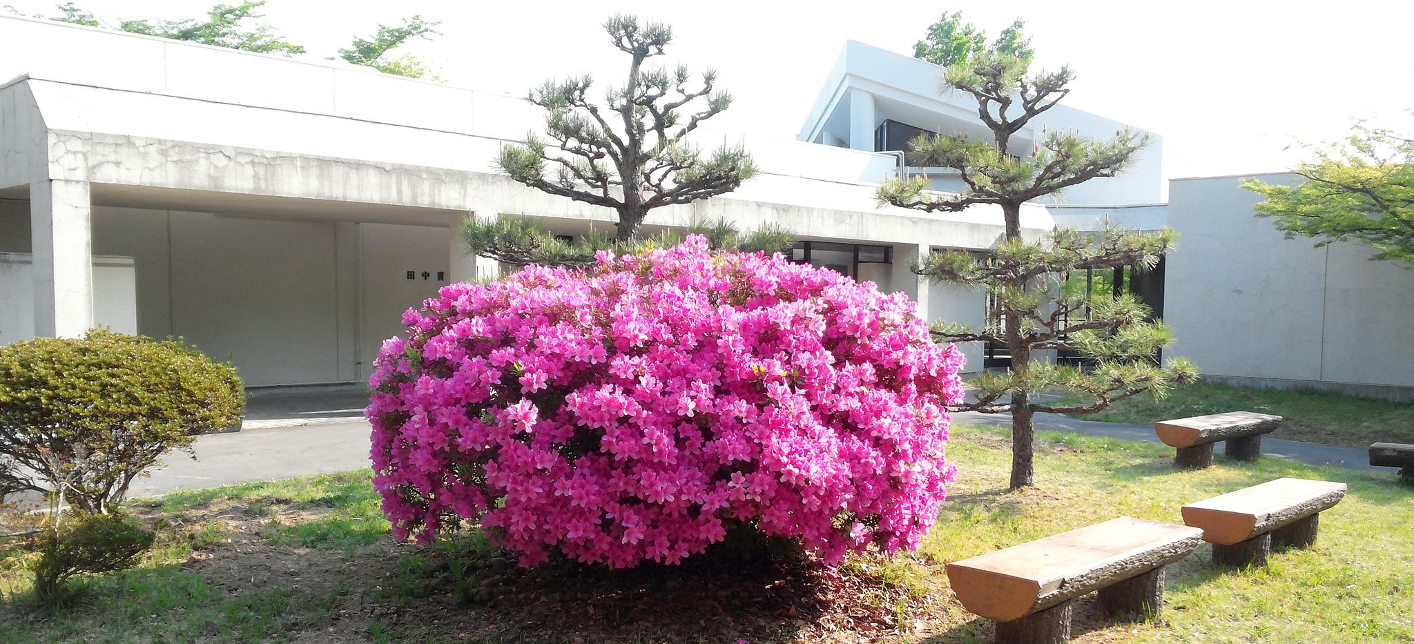 国立 のぞみ の 園