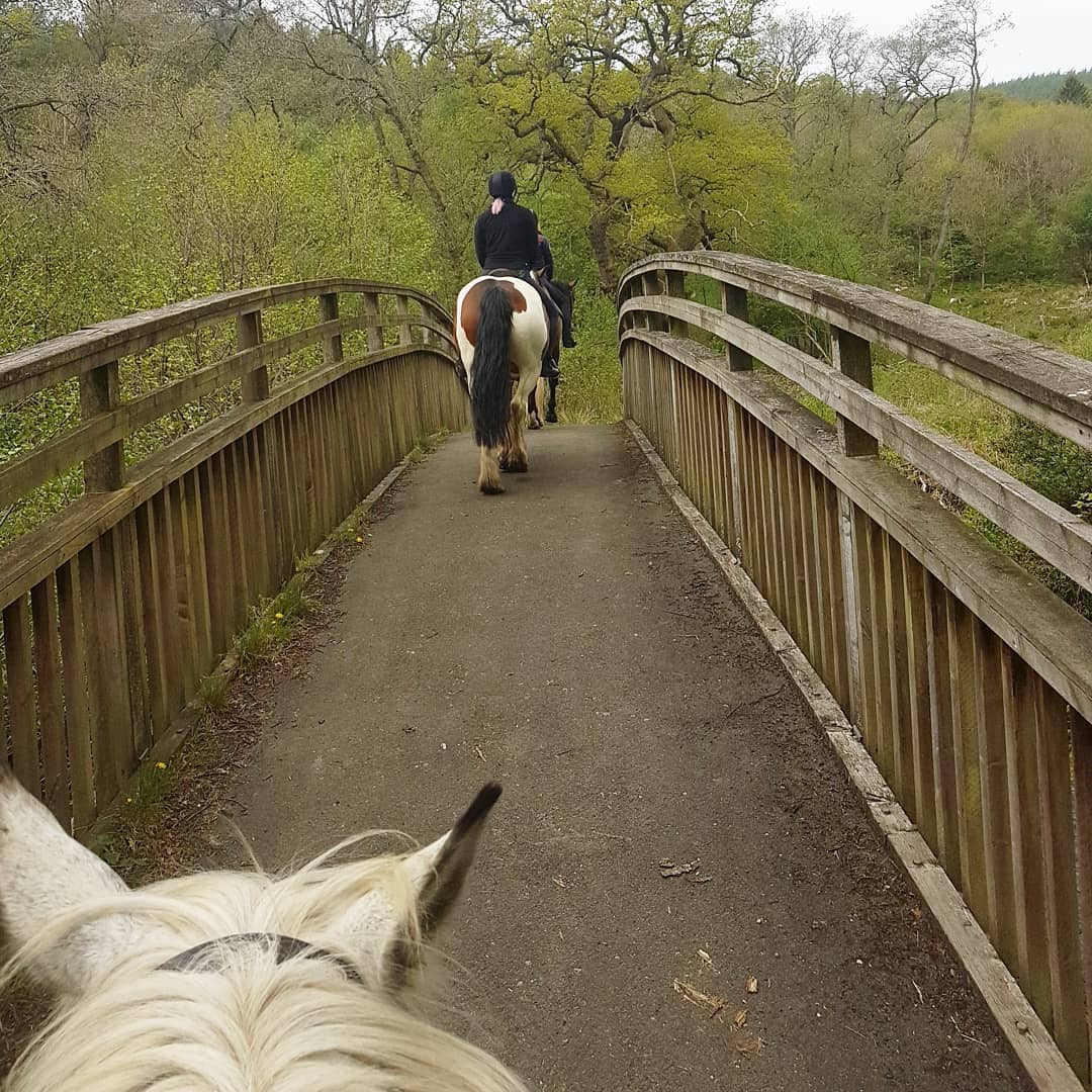 Bilsdale Riding Centre... - Bilsdale Riding Centre Official