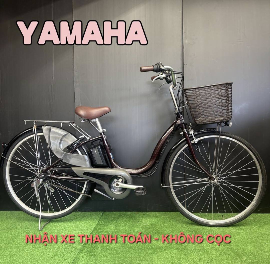 ブリヂストン電動アシスト自転車20インチ 12.3Ah ミニサイクル XE TRỢ LỰC,XE ĐẠP ĐIỆN NHẬT BẢN (電動自転車) | Facebook