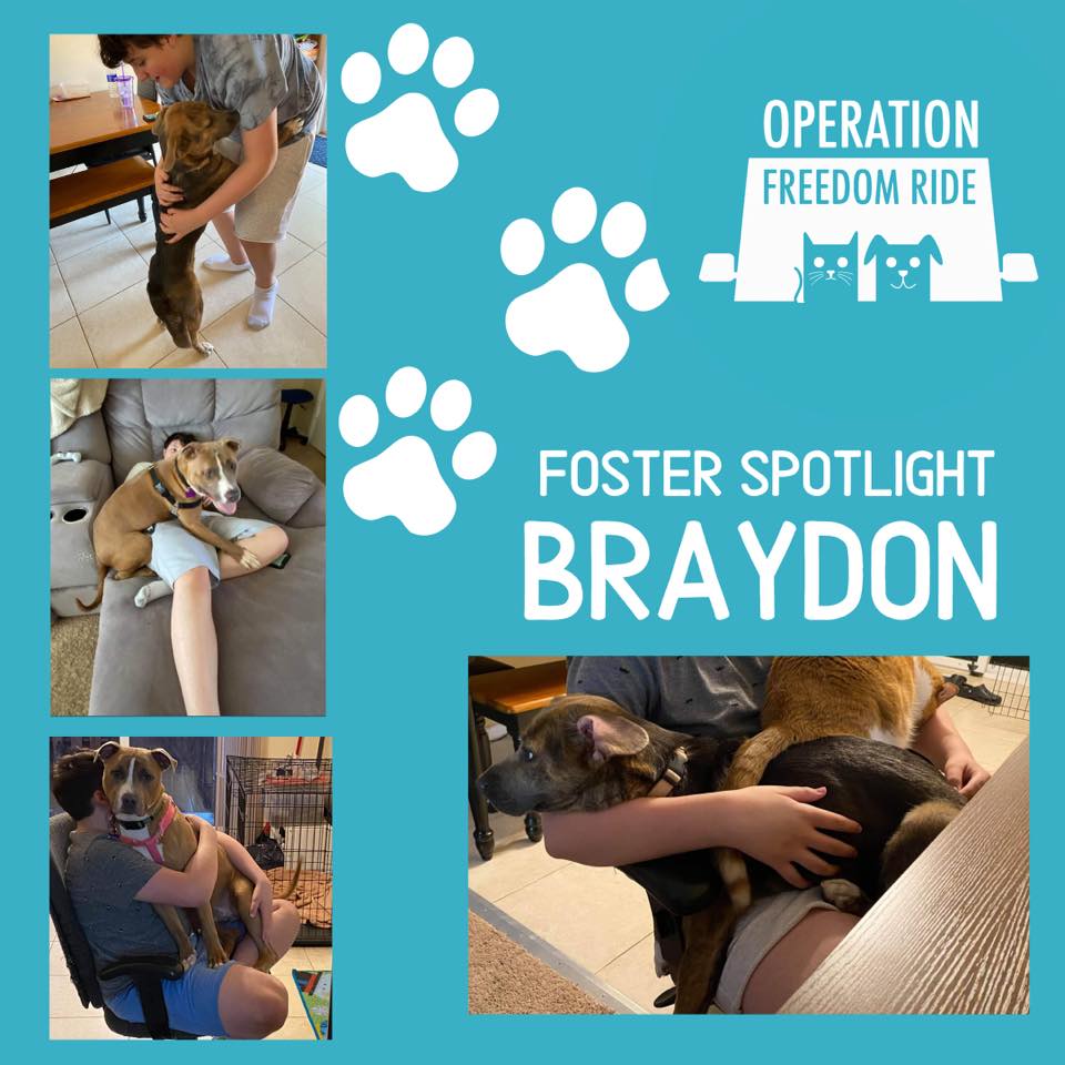 🌟 FOSTER SPOTLIGHT!!🌟 At... - Operation Freedom Ride, inc.