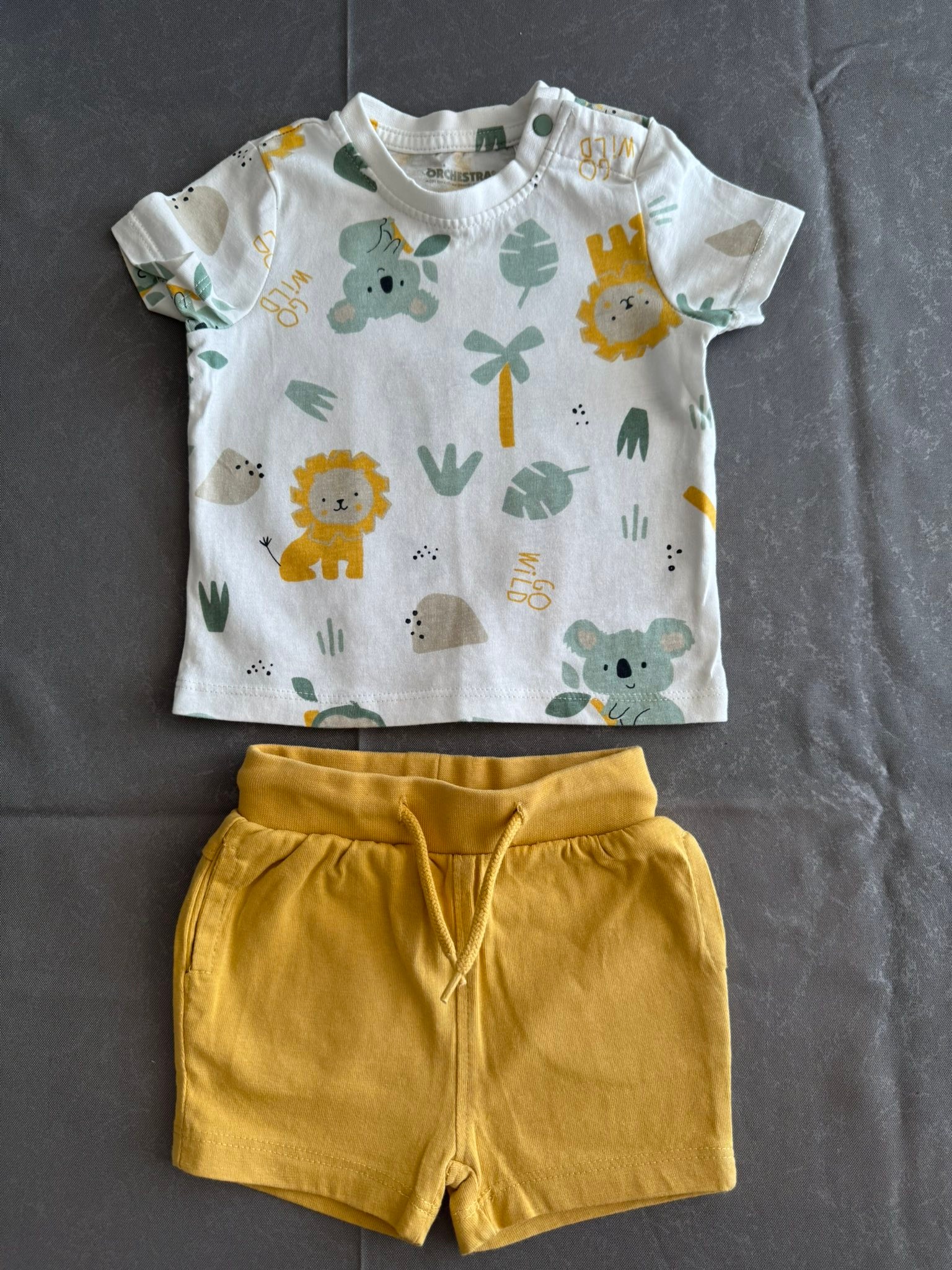 Lot De 25 Vêtements Bébé 3 à 18 Mois - Occasion Parfait état - Multicouleur - Coton