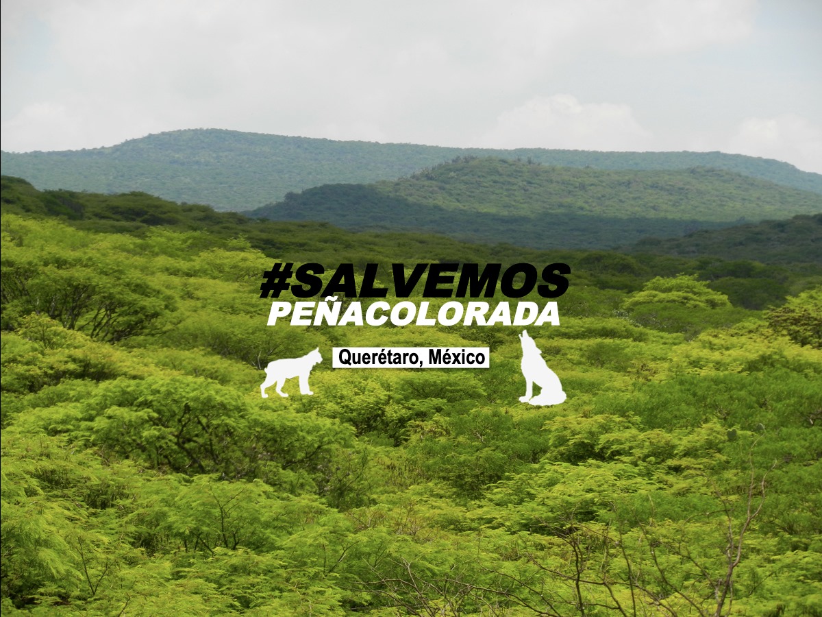 Peña Colorada Querétaro - 🔥🌎⚠️El cambio climático no espera... nuestro ...
