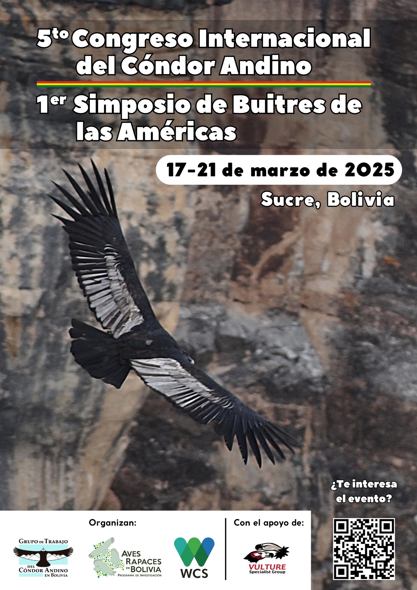 Alas - INFOGRAFIA CÓNDOR ANDINO Compartimos esta hermosa infografía ...