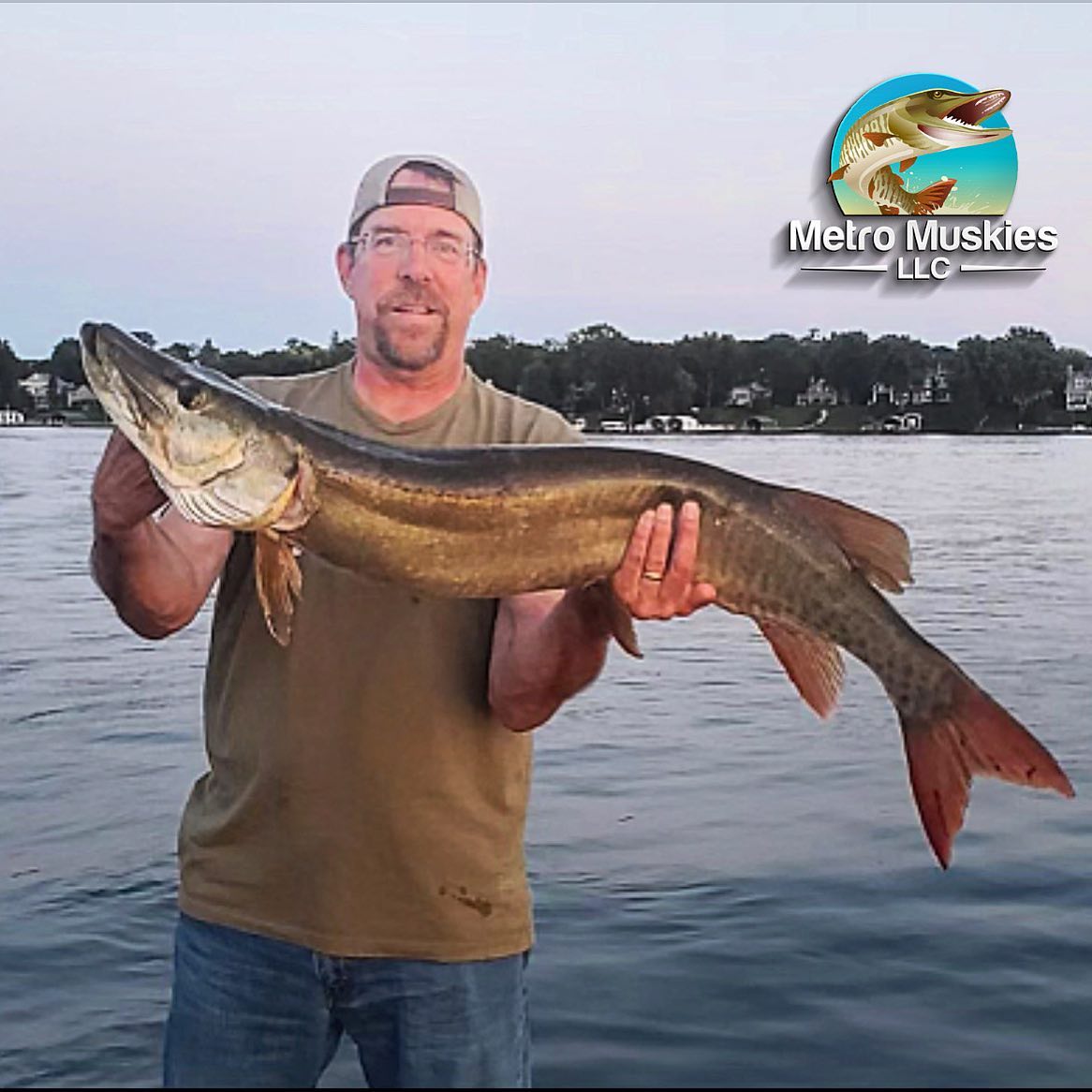 Another nice client fish! This 42”er... - Metro Muskies LLC | Facebook