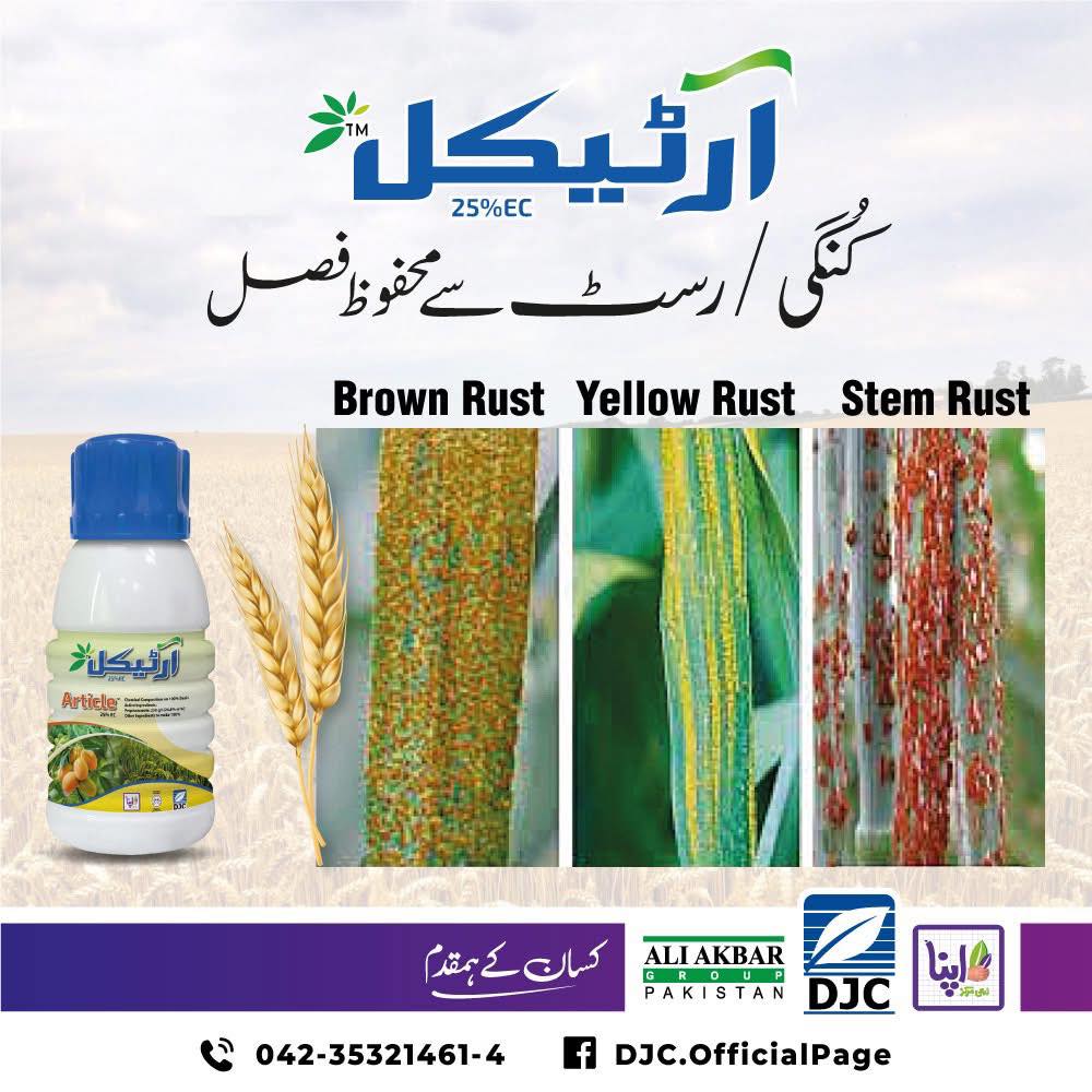 DJC Ali Akbar Group Yazman | Facebook