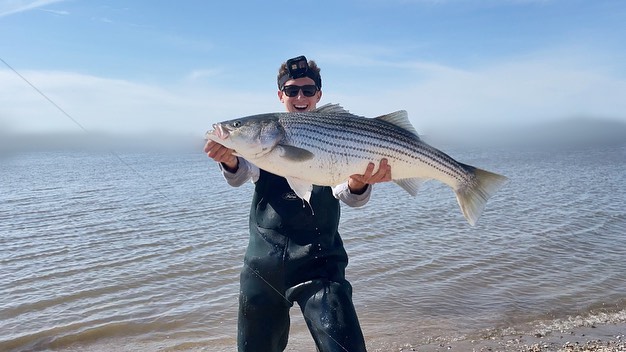 The striped bass is the most popular... - Dillon L. Fishing