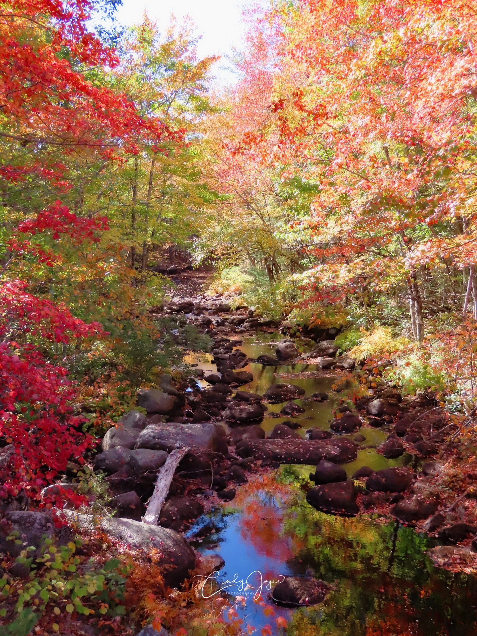 Photographers Of New England | Pretty autumn colors are starting to ...