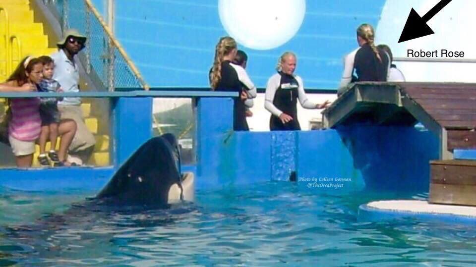 The Orca Project