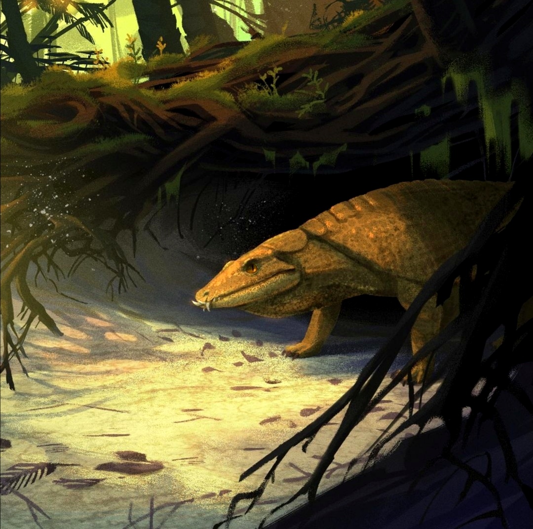 WORLD OF PREHISTORIC CREATURES | Barinasuchus arveloi, a genus of ...