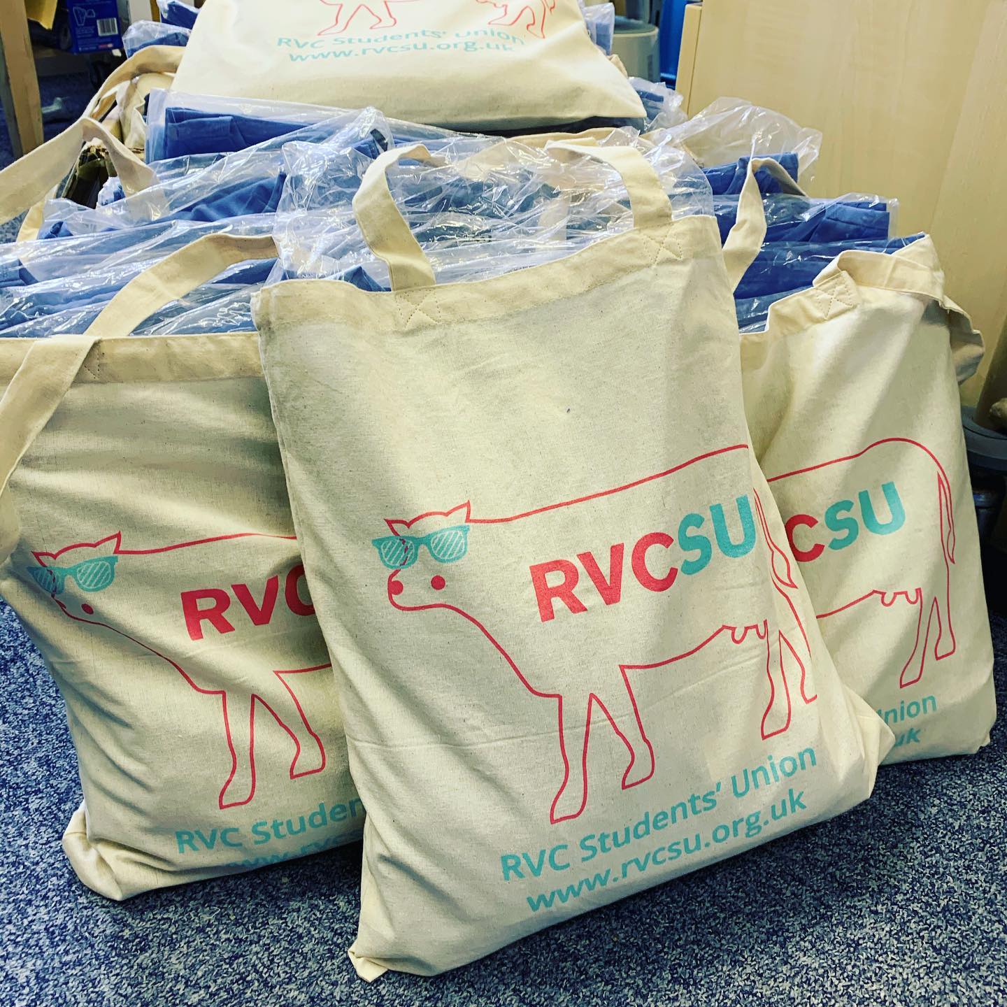 🌡️ Our RVC Students'... - The Royal Veterinary College (RVC)