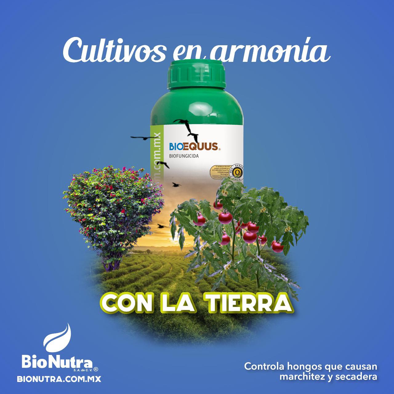 Bio Nutra - El poder orgánico para el cuidado de tus... | Facebook