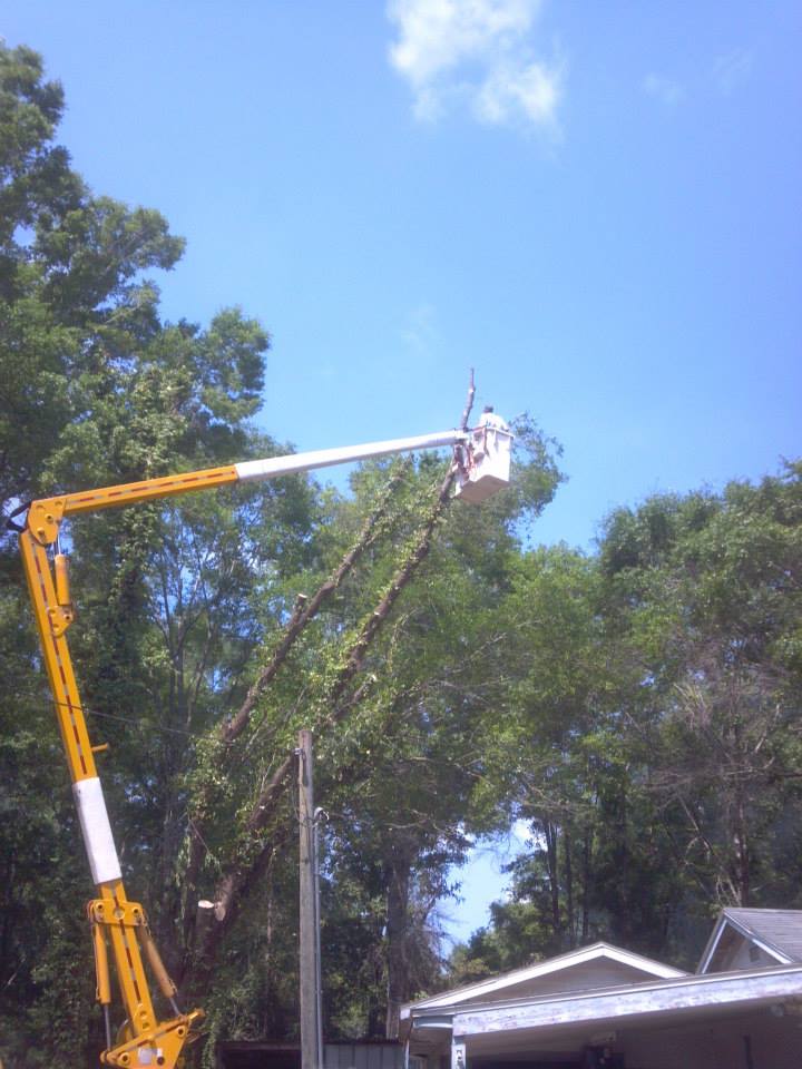 The Cutting Edge Tree Service LLC