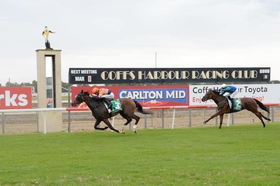 🟢⚫️ Season rundown ⚫️🟢 116 runners... - Wilkes Racing Stable