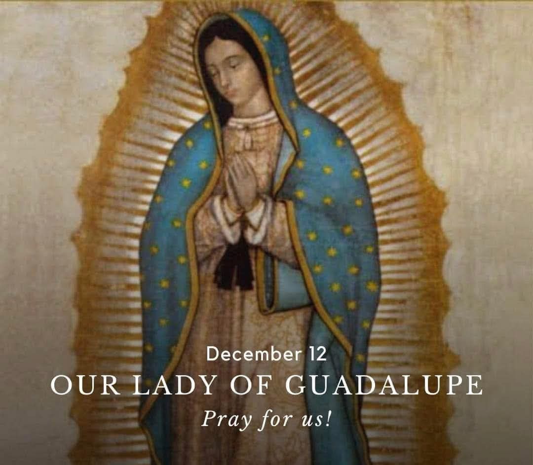 Damian - Today we celebrate the great feast of Our Lady of Guadalupe ...