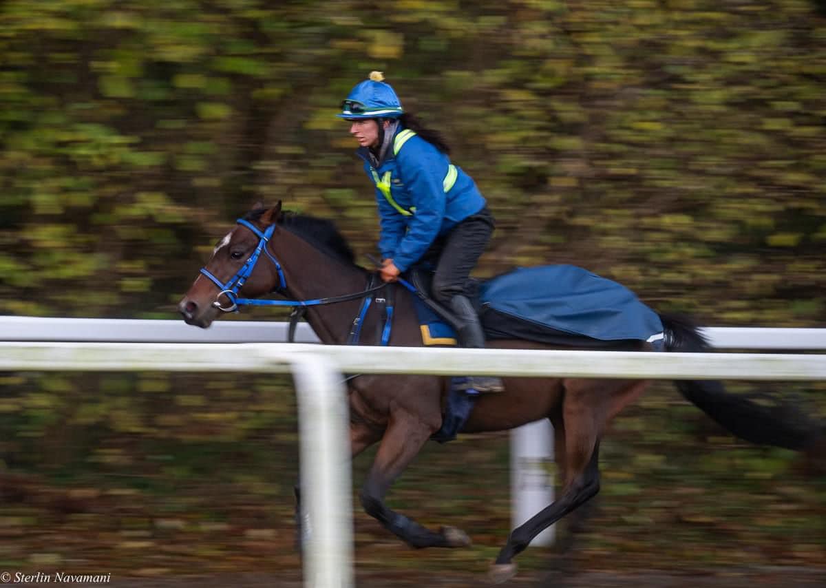 Equestrian R Infinity Limited | Epsom