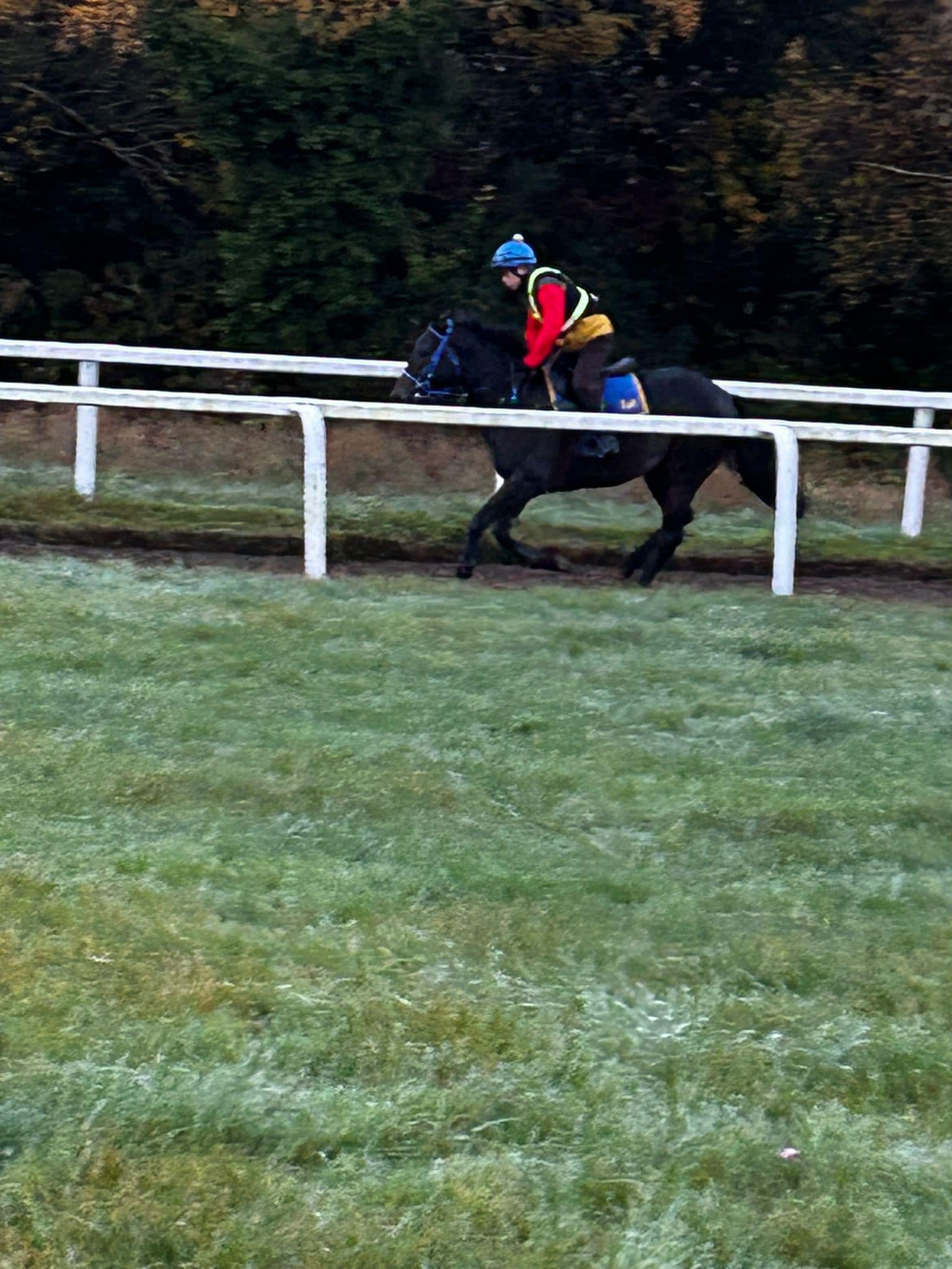 Equestrian R Infinity Limited | Epsom