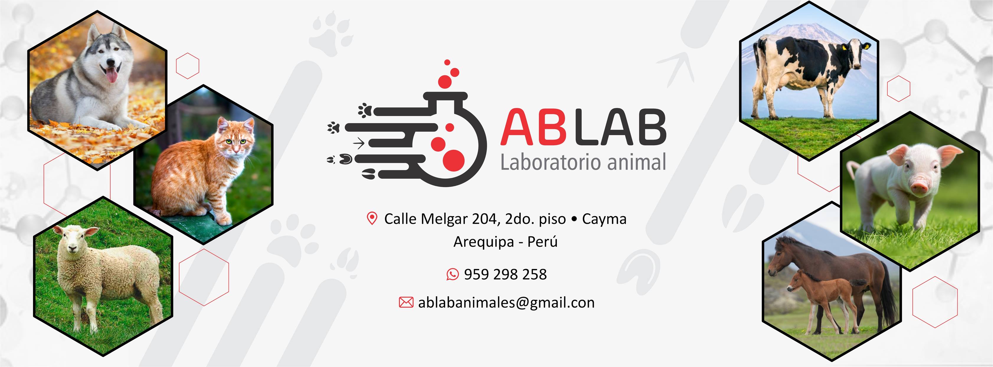 AB Lab | Arequipa
