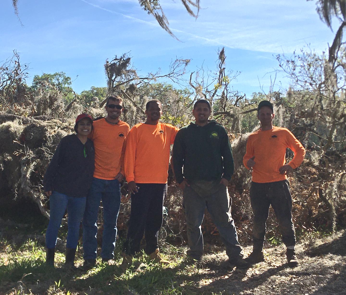Hi-Point Tree Service