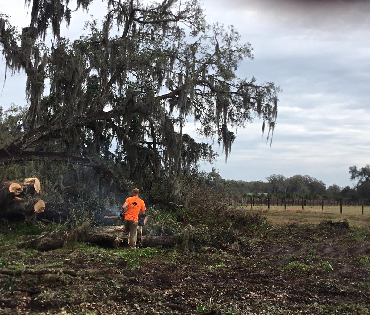 Hi-Point Tree Service