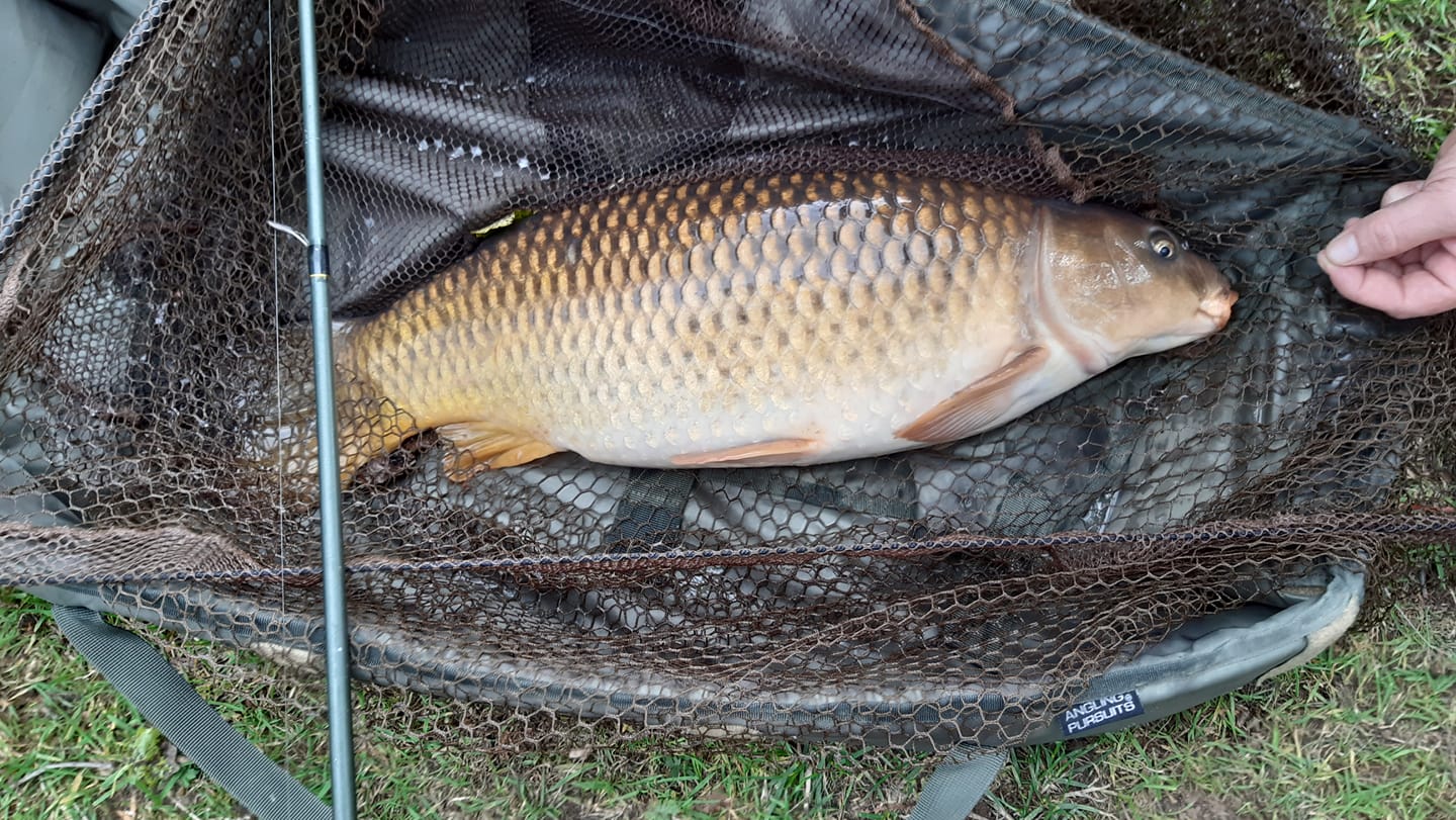 Tackeroo Fishing Pools