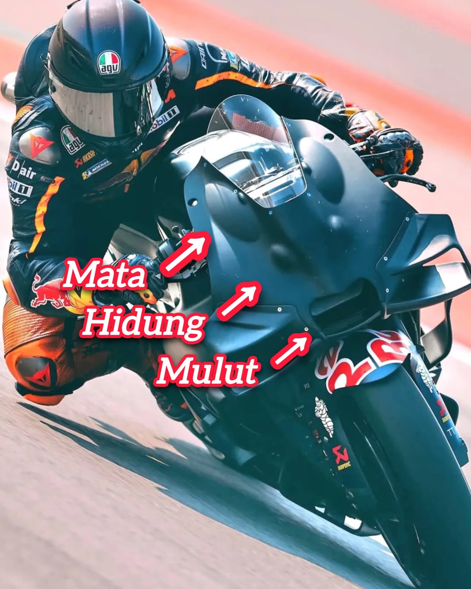 bunny motorcycle helmet cover White Rabbit Cartoon if you like a Product:TNFJesterBckpck LS2 FF817 Challenger 2 Color:Mat Black Flash