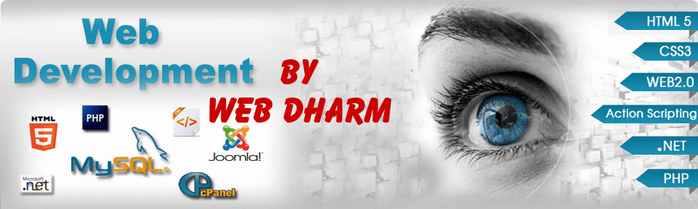 Web Developer