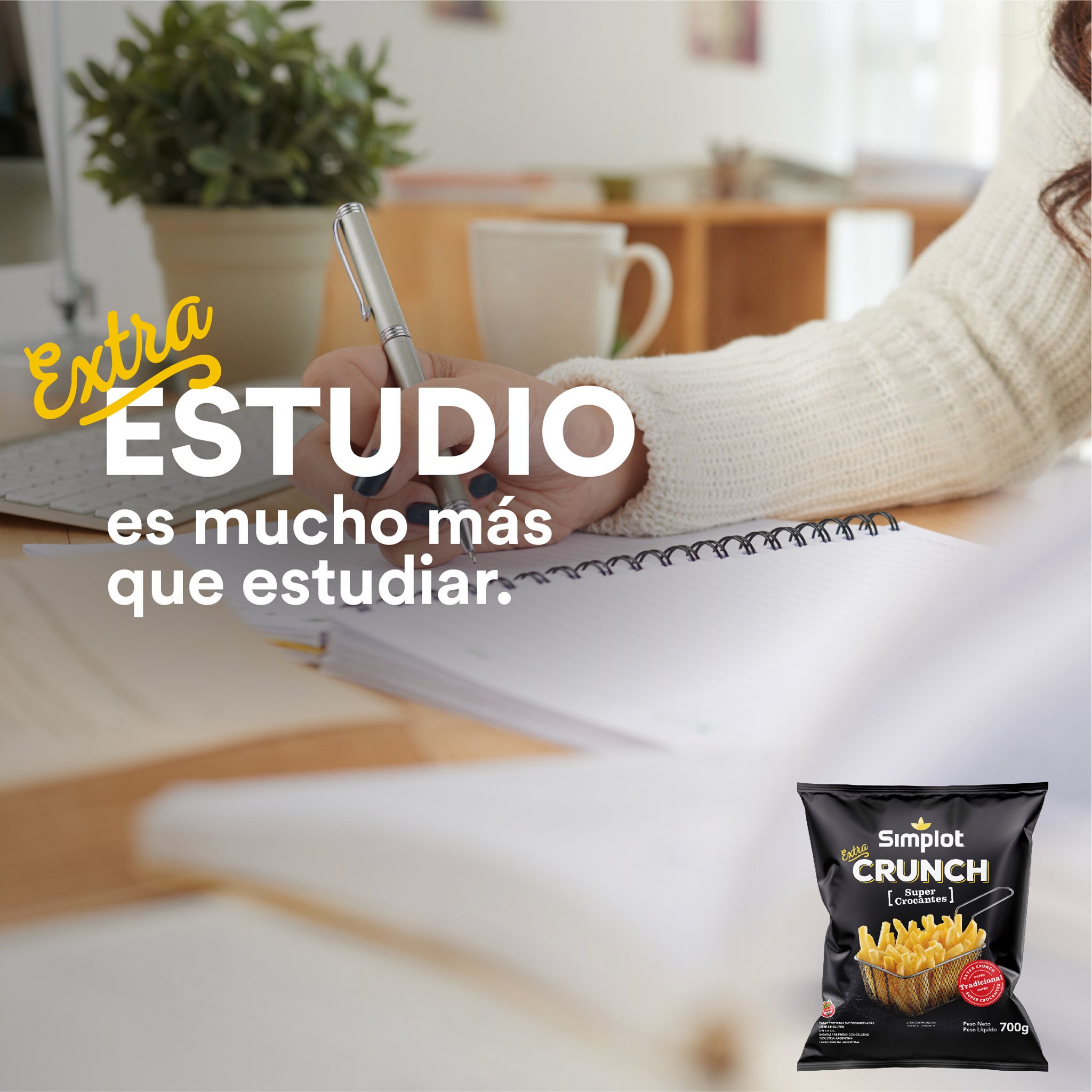 Simplot Chile