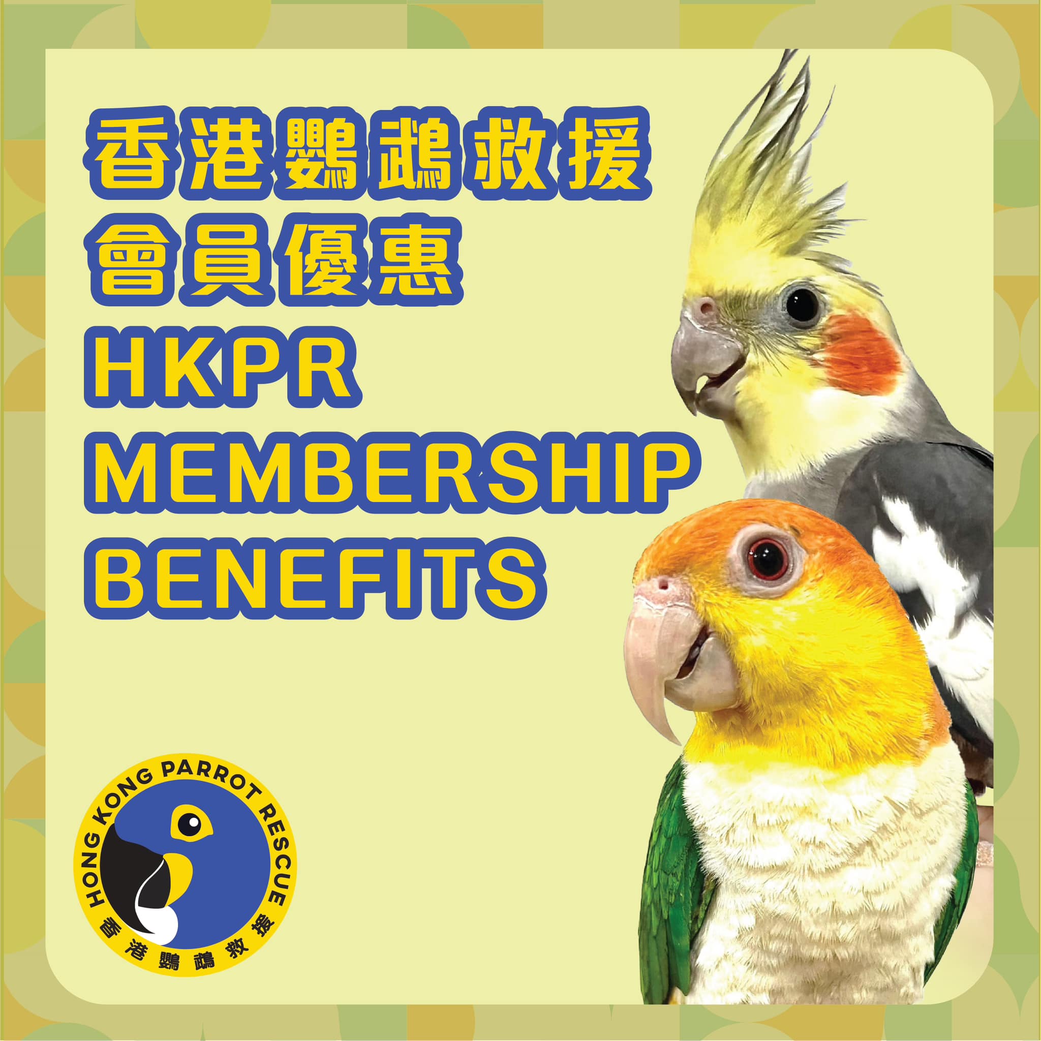 香港鸚鵡救援 HKPR | Hong Kong Hong Kong