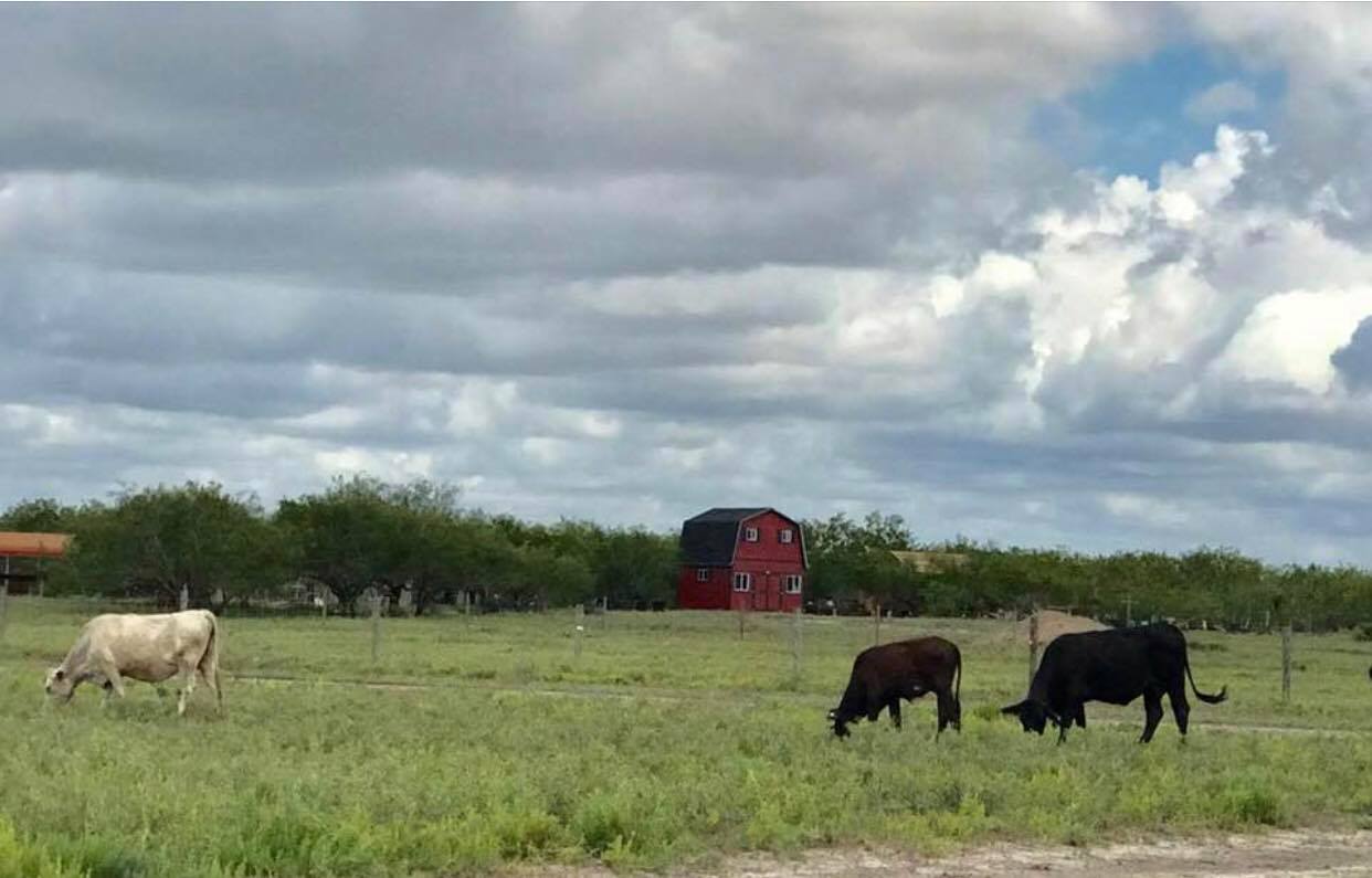 Free Bird Ranch