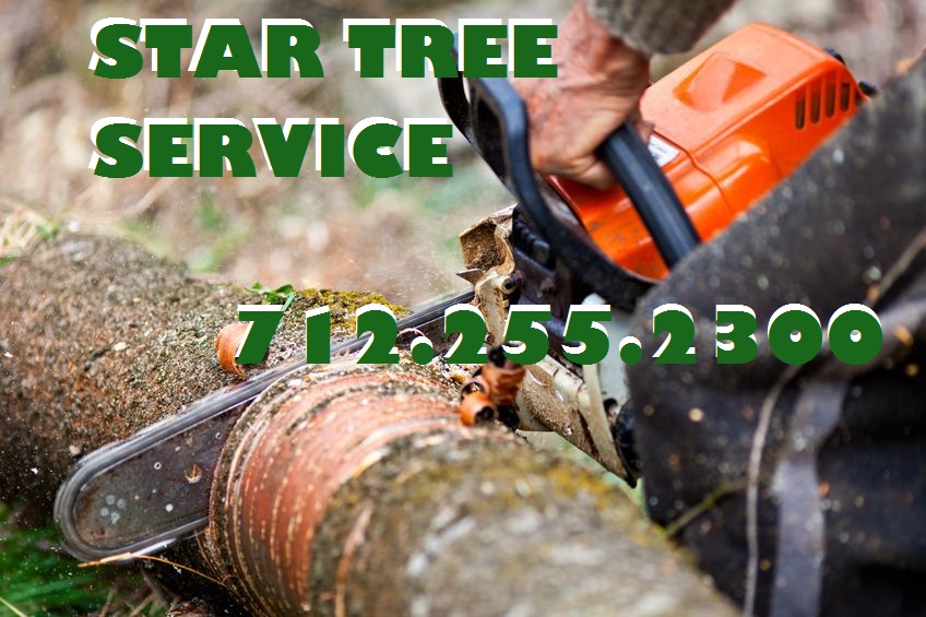 Star Tree Service | Sioux City IA