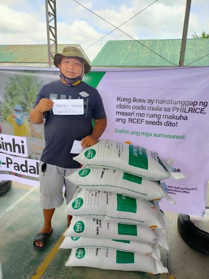 Mga magsasaka ng Central Luzon,... - RCEF Seed Program