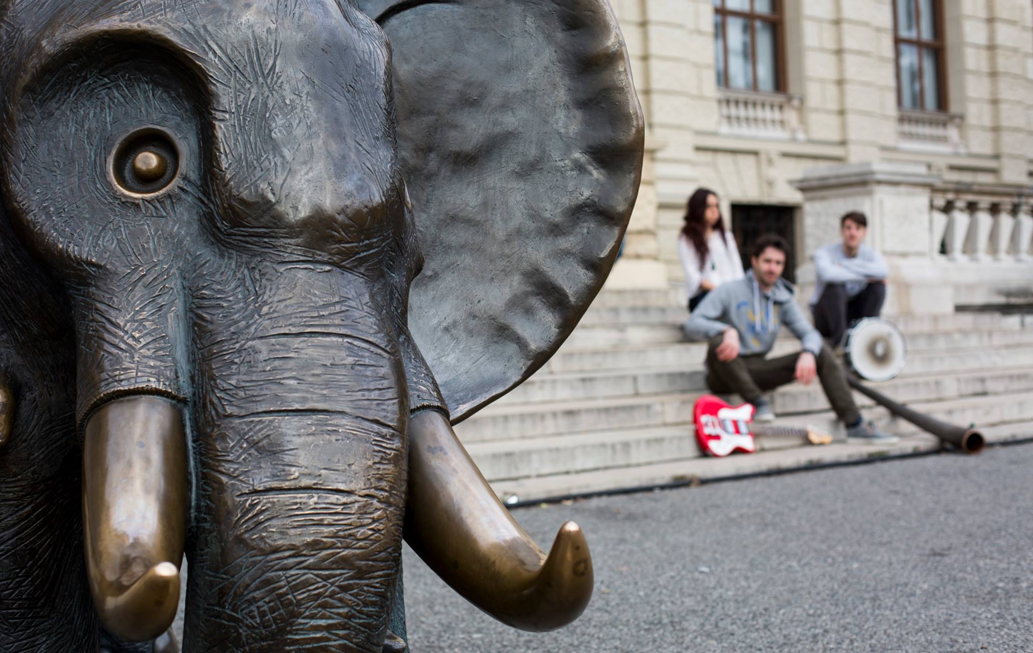 Fast Elephants