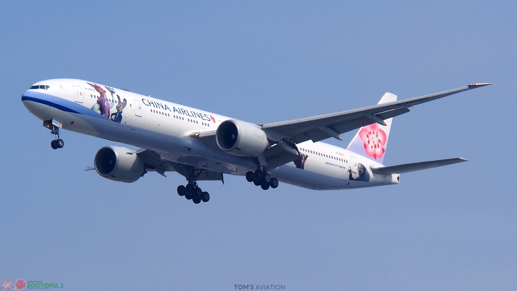 China Airlines B777-300ER Zootopia 2 special livery inaugural flight