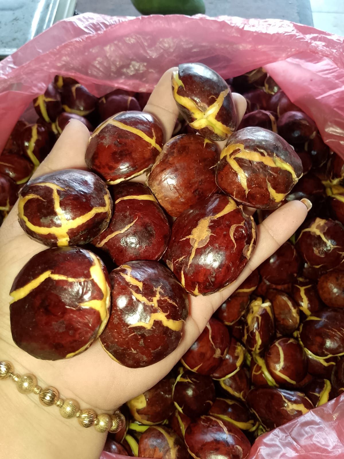 Semok ChiCwek JhutekTea