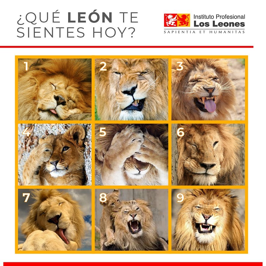 ¿Quién es el número 7 del León