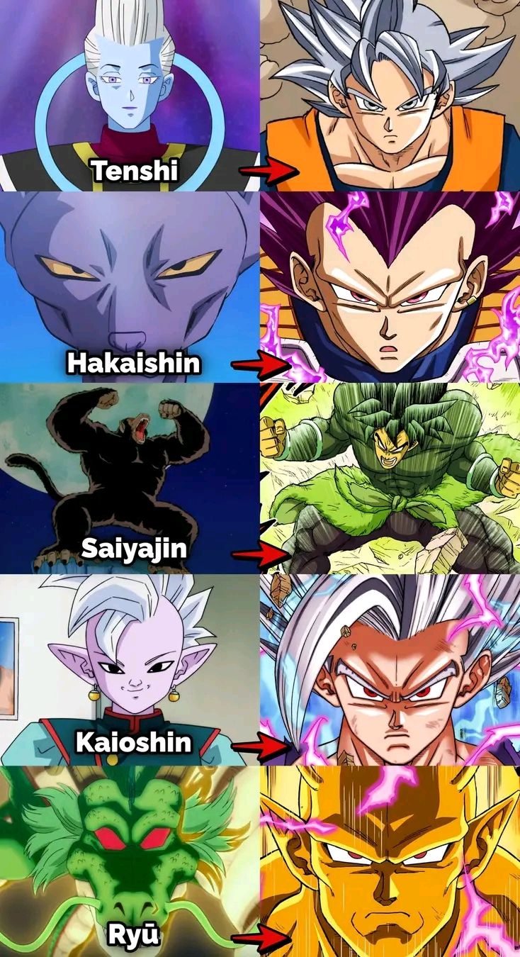 Which Dragon Ball warrior path is the most powerful?