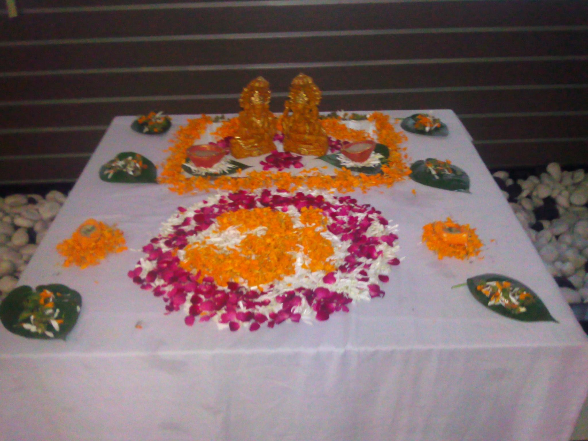 Er Ruchi Rana