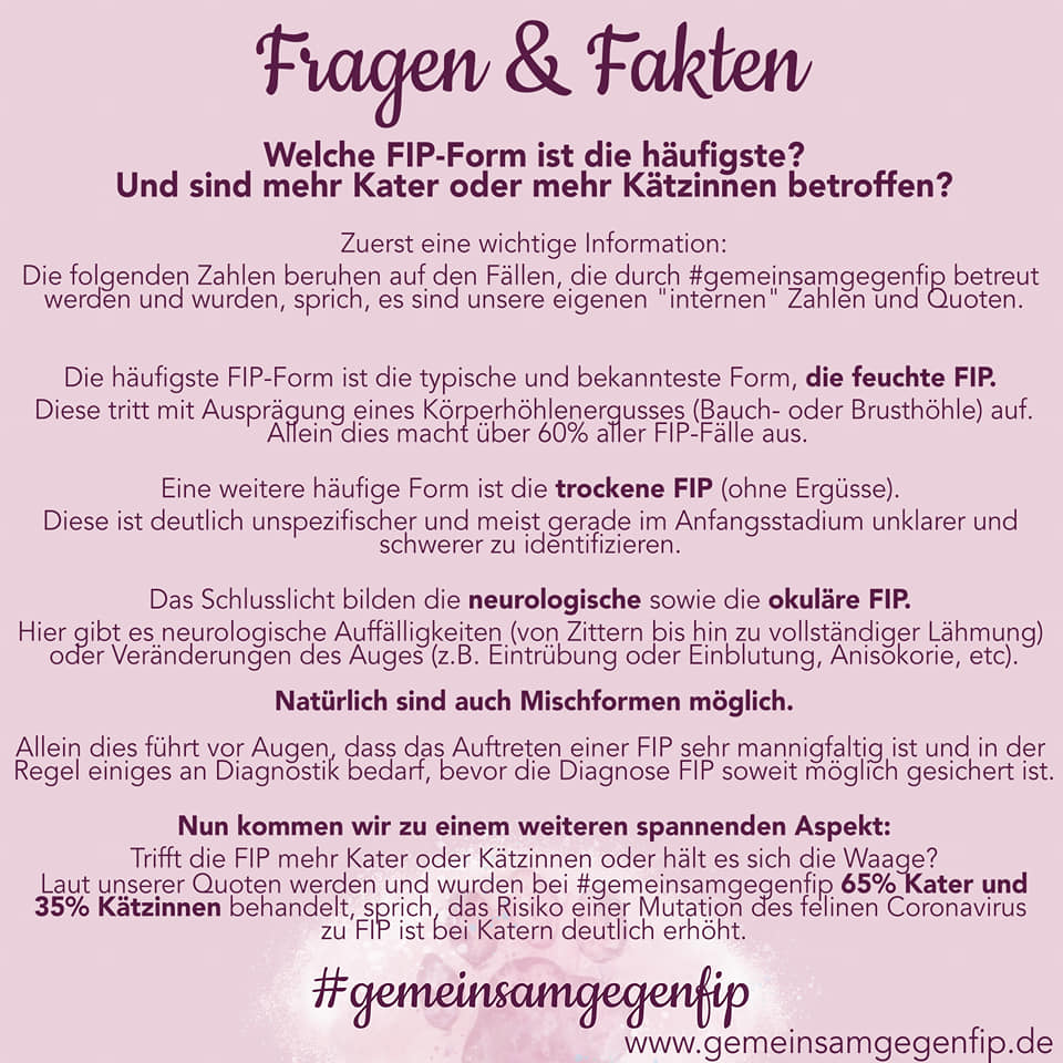 Fakten-Freitag Edit: Achtung, in Bild 3 hat sich der Fehlerteufel ...