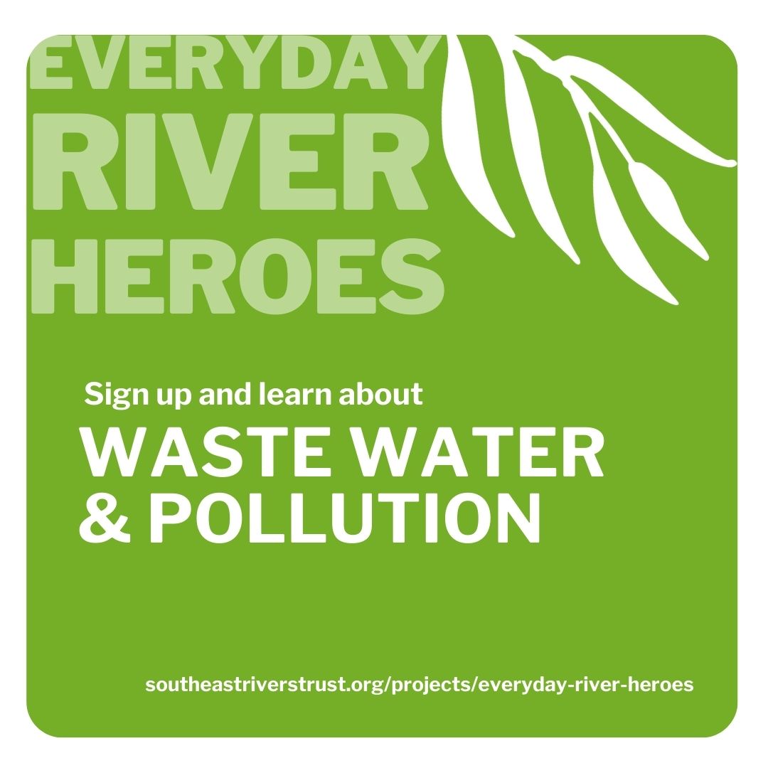 Why are rivers polluted, how can... - South East Rivers Trust | Facebook