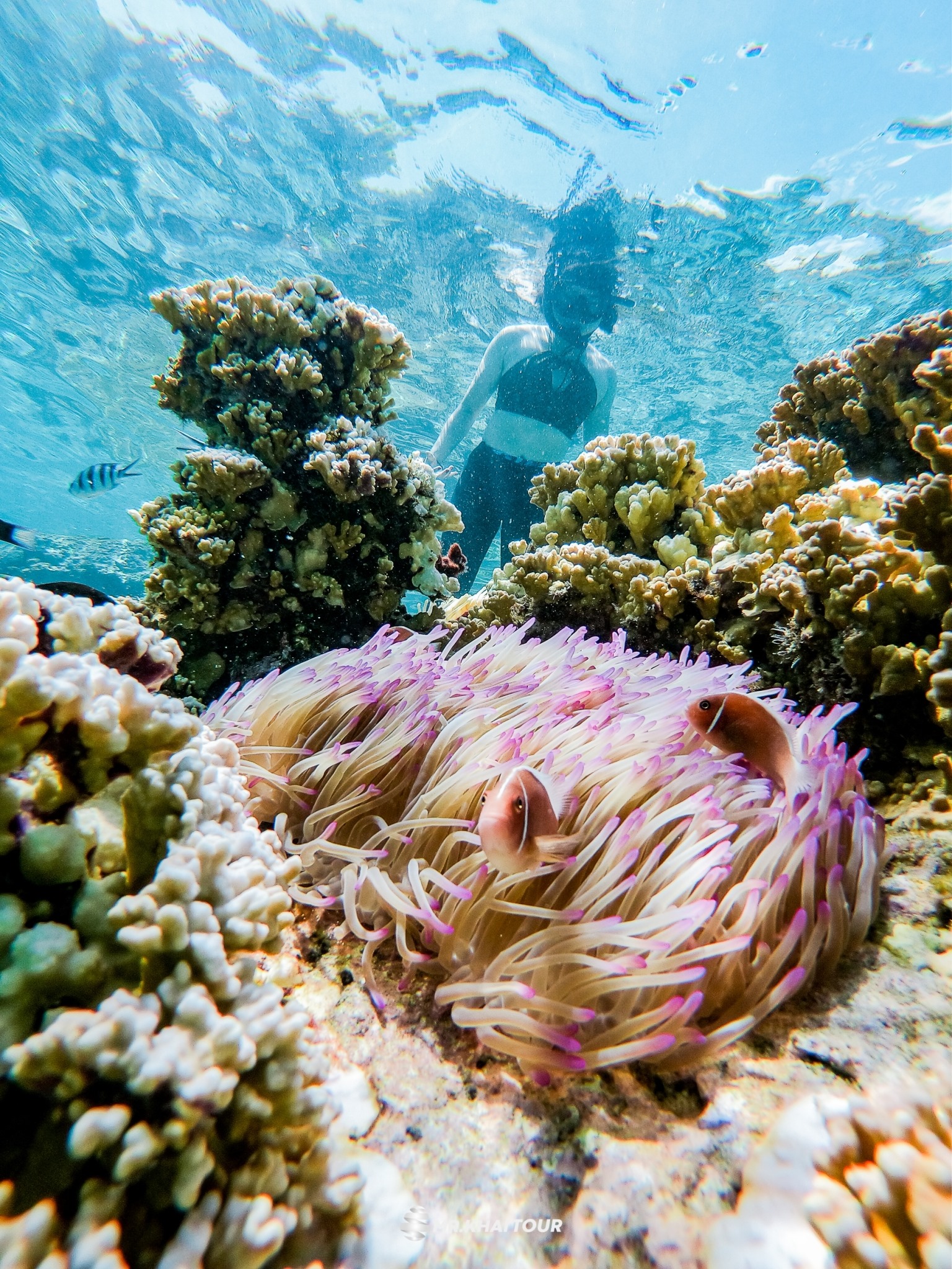 Koh Jum Sea Hunter Tour added... - Koh Jum Sea Hunter Tour