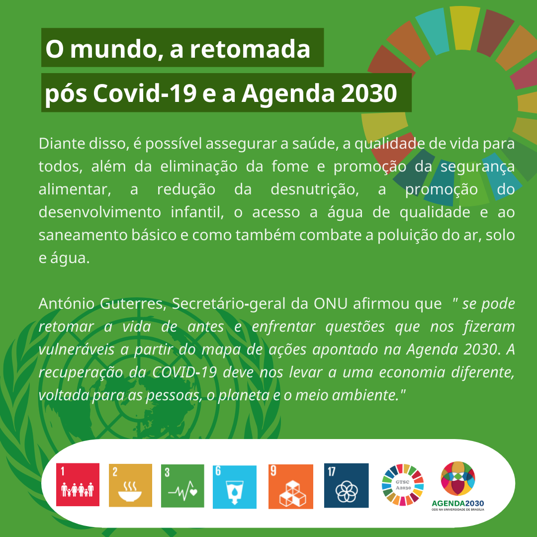 UnB 2030 e os ODS - *WEBINÁRIO - Onde está a cultura na Agenda 2030?* 📆 ...