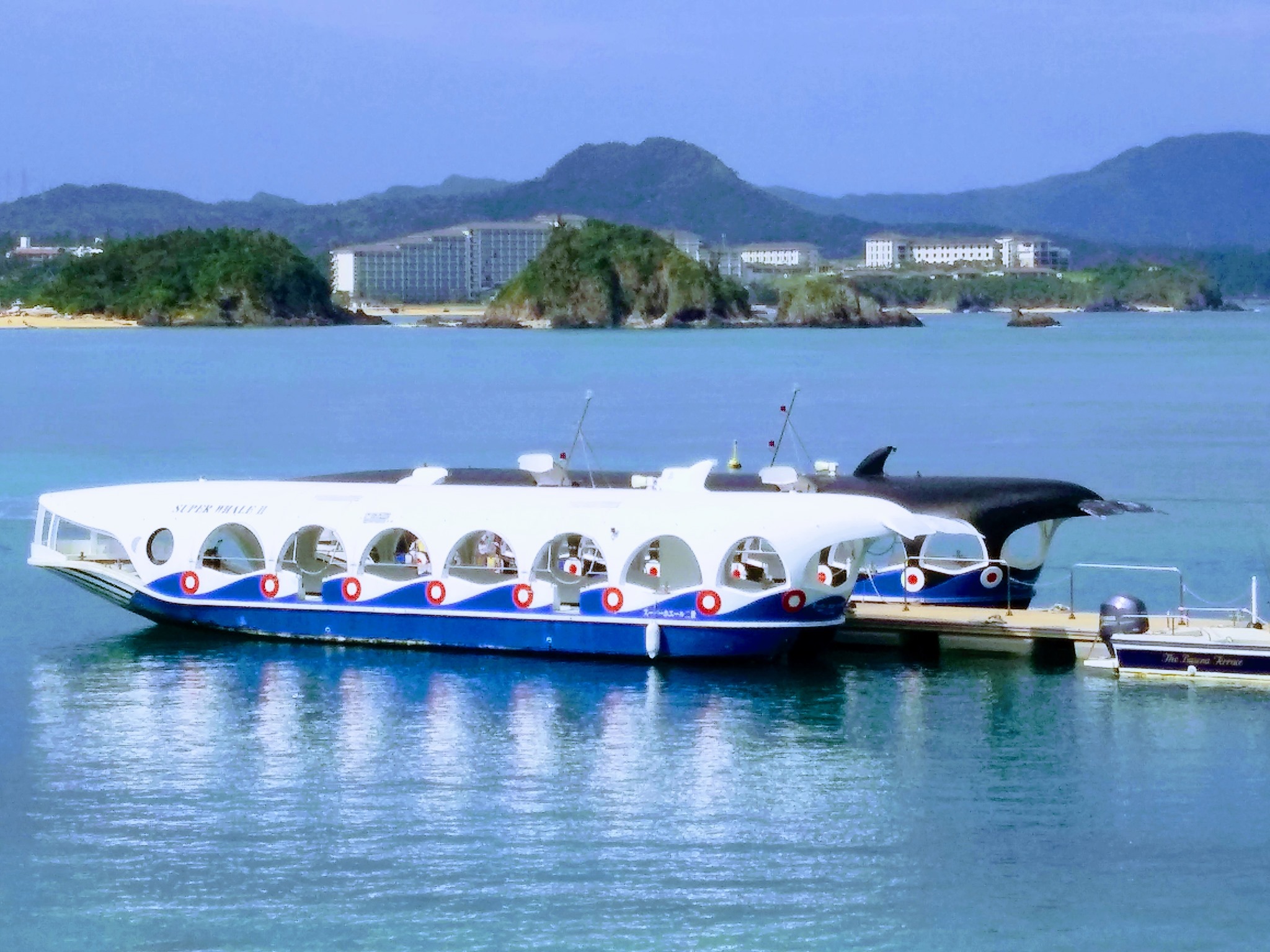 部 瀨 名 海中 公園