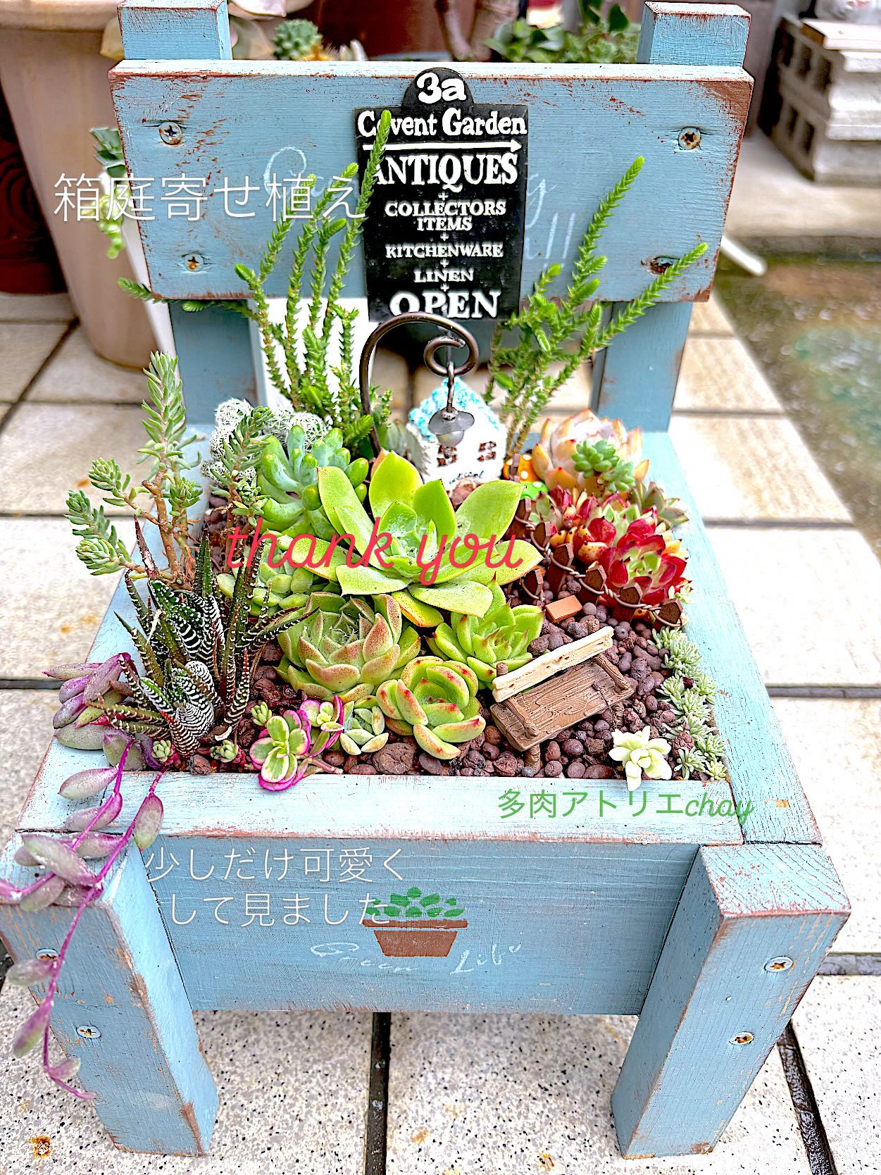 箱庭寄せ植え 確認用 喜んでくれますように♪ お客様thank you♡ 久保 