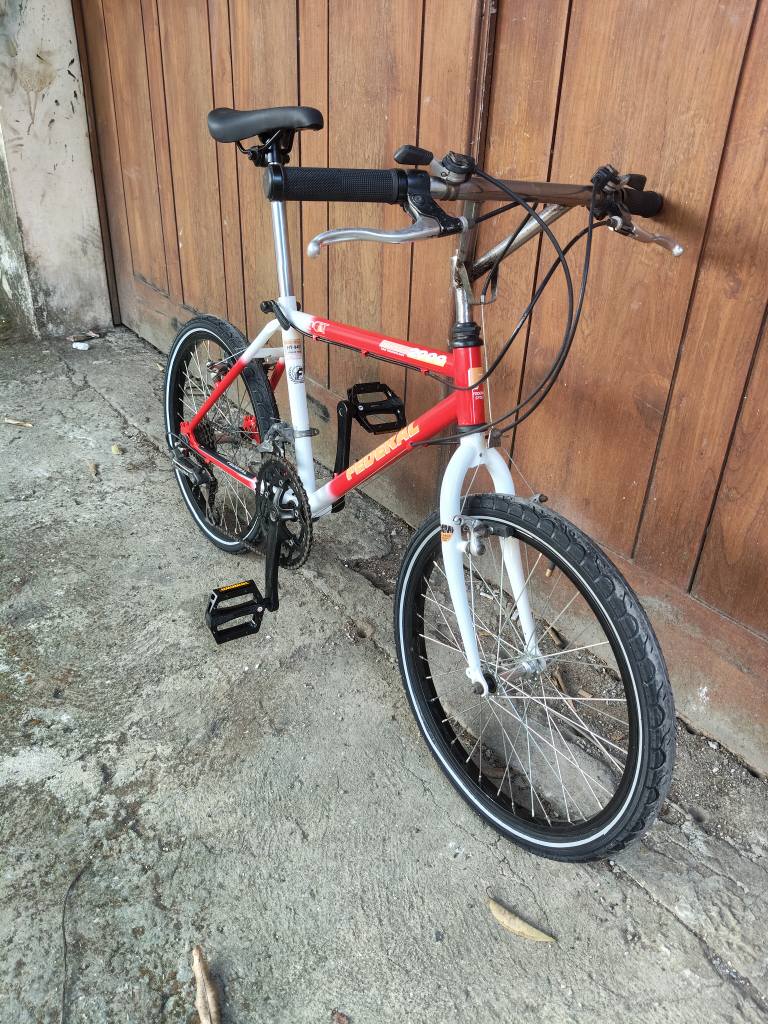Sepeda federal mini r20